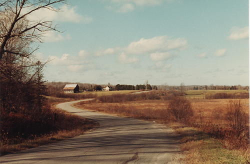 Granny's Road