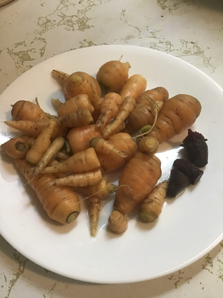 Tiny carrots and miniscule beets.