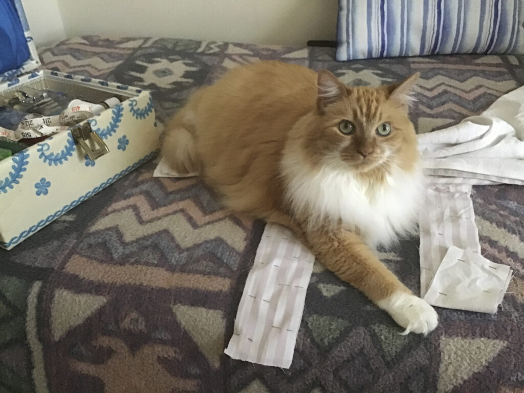 Ginger lying on the cutout fabric, claiming ownership.
