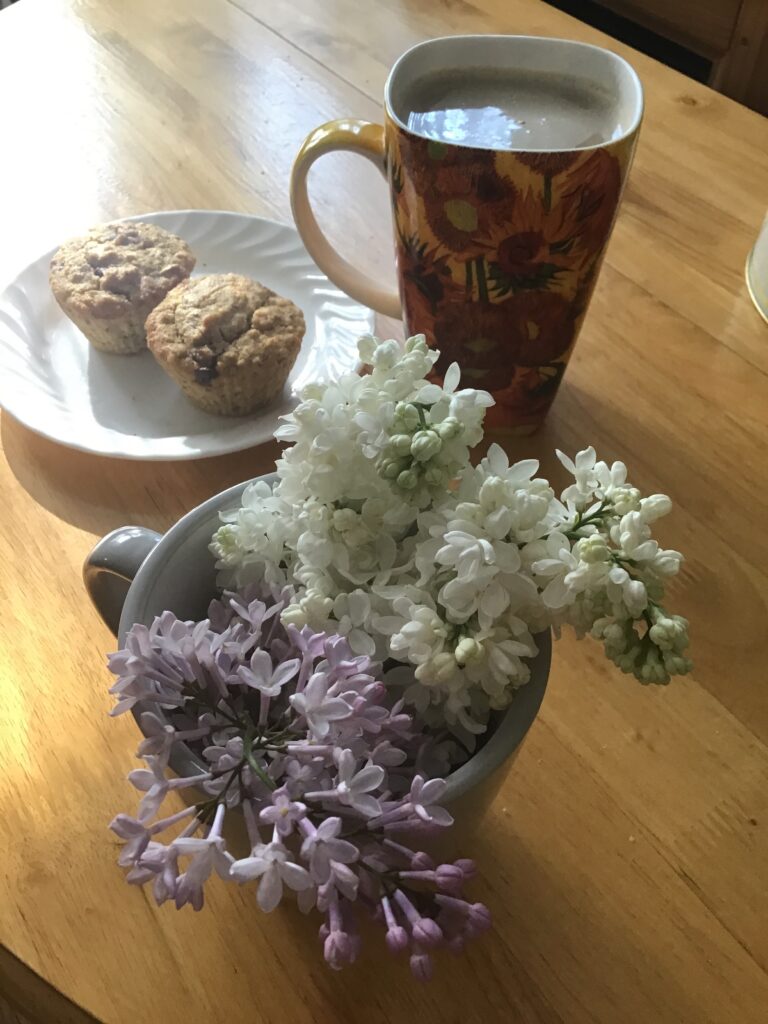 muffins on a plate, mug of coffee, cup of cut lilac blooms